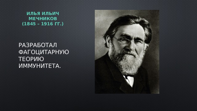 Илья ильич мечников  (1845 – 1916 гг.)   Разработал фагоцитарную теорию иммунитета. 