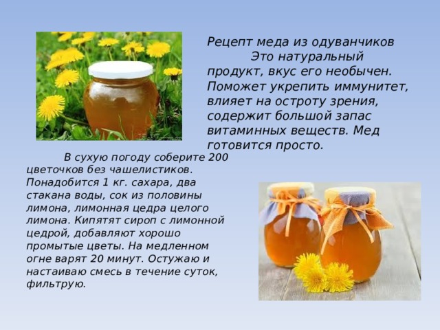Мед из одуванчиков 200 штук рецепт с фото пошагово