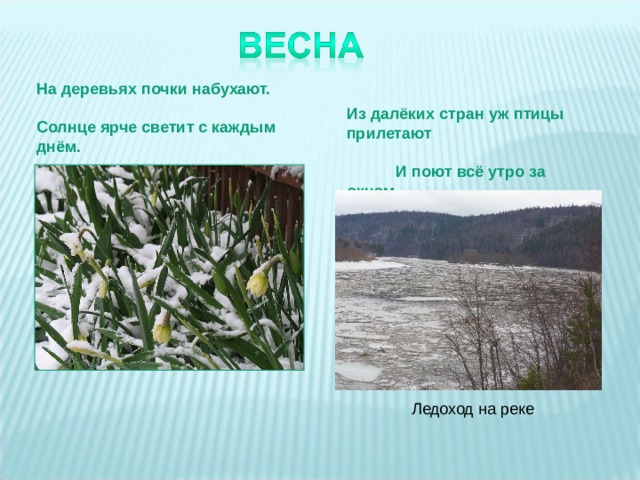    На деревьях почки набухают. Солнце ярче светит с каждым днём. Из далёких стран уж птицы прилетают  И поют всё утро за окном. Ледоход на реке 