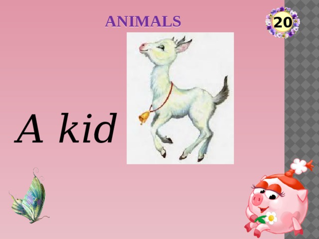 ANIMALS 20 A kid  