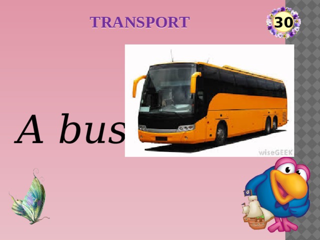 TRANSPORT 30 A bus  