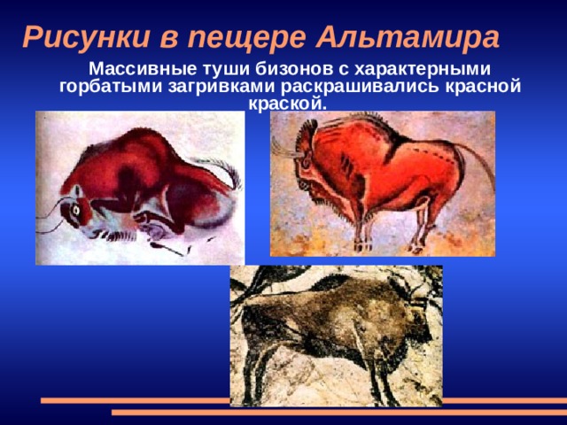 Рисунки в пещере Альтамира   Массивные туши бизонов с характерными горбатыми загривками раскрашивались красной краской. 