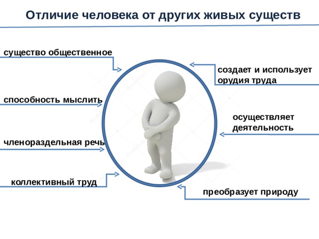 Обществознание 8 класс что делает человека человеком презентация 8 класс