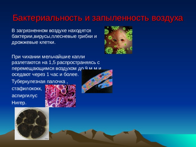 Бактериальность и запыленность воздуха В загрязненном воздухе находятся бактерии,вирусы,плесневые грибки и дрожжевые клетки. При чихании мельчайшие капли разлетаются на 1,5 распространяясь с перемещающимся воздухом до 9 м м и оседают через 1 час и более. Туберкулезная палочка , стафилококк, аспиргилус Нигер. 
