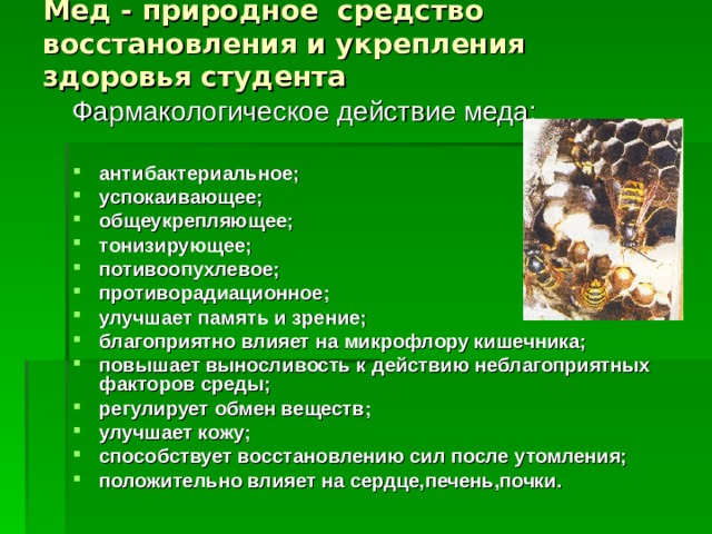 Мед - природное средство восстановления и укрепления здоровья студента Фармакологическое действие меда: антибактериальное; успокаивающее; общеукрепляющее; тонизирующее; потивоопухлевое; противорадиационное; улучшает память и зрение; благоприятно влияет на микрофлору кишечника; повышает выносливость к действию неблагоприятных факторов среды; регулирует обмен веществ; улучшает кожу; способствует восстановлению сил после утомления; положительно влияет на сердце,печень,почки.  