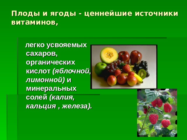 Плоды и ягоды - ценнейшие источники  витаминов,  легко усвояемых сахаров, органических кислот (яблочной, лимонной) и минеральных солей (калия, кальция , железа).    