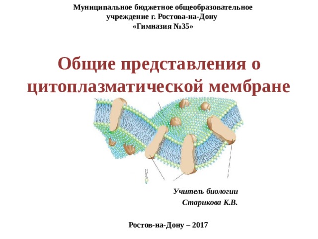 Муниципальное бюджетное общеобразовательное учреждение г. Ростова-на-Дону «Гимназия №35» Общие представления о цитоплазматической мембране Учитель биологии Старикова К.В. Ростов-на-Дону – 2017 