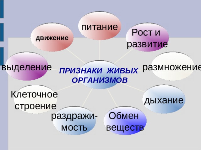 Признаки живых тел природы