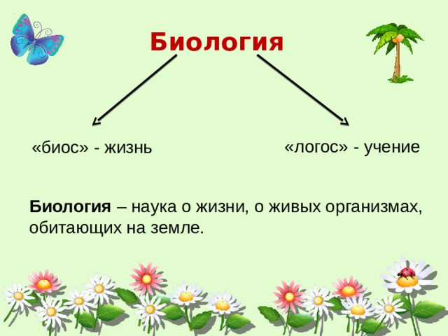 Биология в жизни каждого презентация