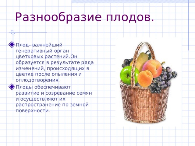 Плод- важнейший генеративный орган цветковых растений.Он образуется в результате ряда изменений, происходящих в цветке после опыления и оплодотворения. Плоды обеспечивают развитие и созревание семян и осуществляют их распространение по земной поверхности. 