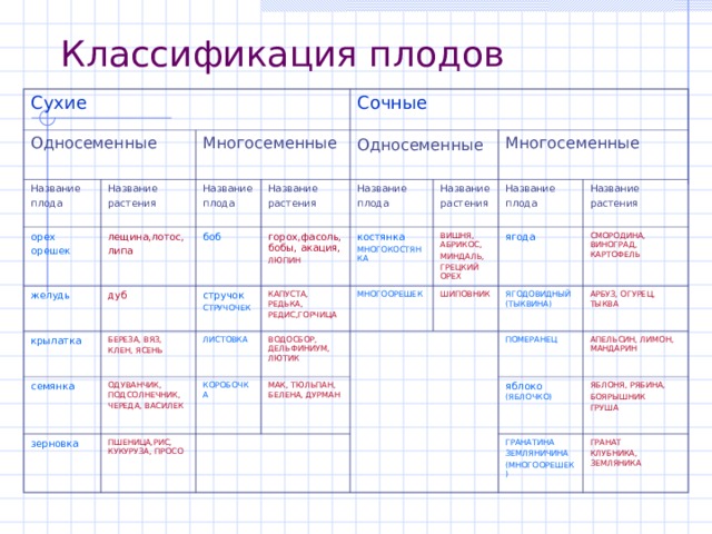 Схема классификации плодов 6 класс биология