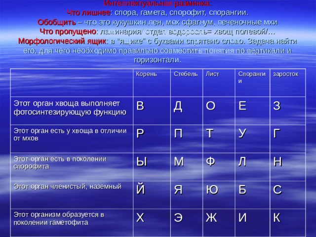 Интеллектуальная разминка:  Что лишнее : спора, гамета, спорофит, спорангии.  Обобщить – что это кукушкин лен, мох сфагнум, печеночные мхи  Что пропущено : ламинария/ отдел водоросль= хвощ полевой/…  Морфологический ящик : в “ящике” с буквами спрятано слово. Задача найти его, для чего необходимо правильно совместить понятия по вертикали и горизонтали. Корень Этот орган хвоща выполняет фотосинтезирующую функцию В Стебель Этот орган есть у хвоща в отличии от мхов Р Этот орган есть в поколении спорофита Лист Д Ы О Этот орган членистый, наземный Спорангии П Е заросток Т Й Этот организм образуется в поколении гаметофита М З Ф Х Я У Э Л Ю Г Н Ж Б С И К 