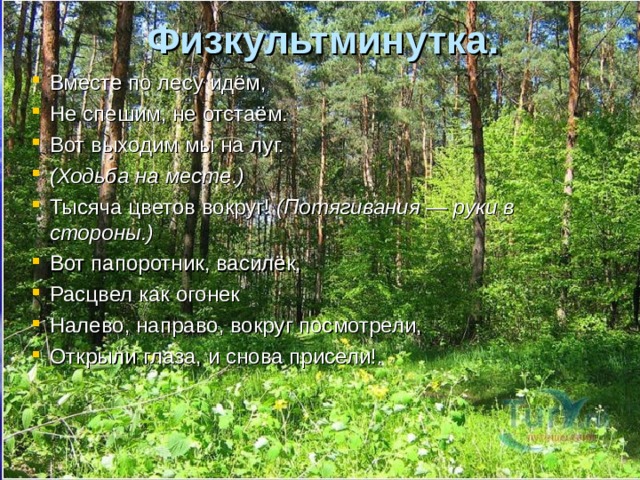 Физкультминутка.   Вместе по лесу идём, Не спешим, не отстаём. Вот выходим мы на луг. (Ходьба на месте.) Тысяча цветов вокруг! (Потягивания — руки в стороны.) Вот папоротник, василёк, Расцвел как огонек Налево, направо, вокруг посмотрели, Открыли глаза, и снова присели!.  