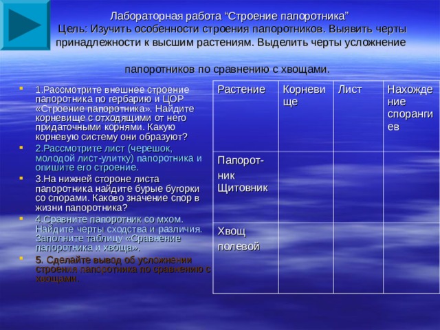 Лабораторная работа “Строение папоротника”  Цель: Изучить особенности строения папоротников. Выявить черты принадлежности к высшим растениям. Выделить черты усложнение папоротников по сравнению с хвощами.  1.Рассмотрите внешнее строение папоротника по гербарию и ЦОР «Строение папоротника». Найдите корневище с отходящими от него придаточными корнями. Какую корневую систему они образуют? 2.Рассмотрите лист (черешок, молодой лист-улитку) папоротника и опишите его строение. 3.На нижней стороне листа папоротника найдите бурые бугорки со спорами. Каково значение спор в жизни папоротника? 4.Сравните папоротник со мхом. Найдите черты сходства и различия. Заполните таблицу «Сравнение папоротника и хвоща». 5. Сделайте вывод об усложнении строения папоротника по сравнению с хвощами. Растение Корневище Папорот- ник Щитовник Лист Хвощ полевой Нахождение спорангиев 