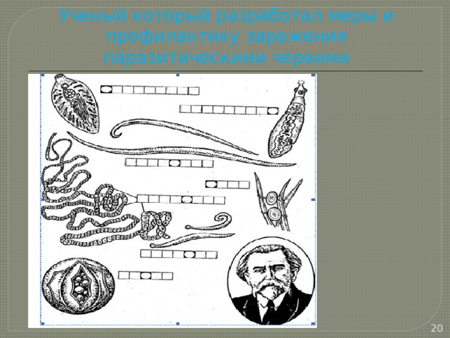 Ученый который разработал меры и профилактику заражения паразитическими червями  
