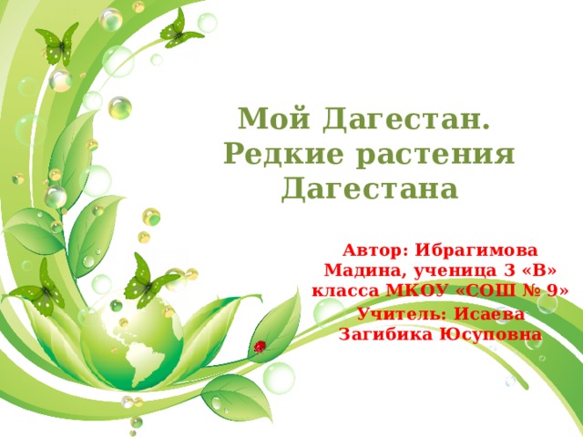 Мой Дагестан.  Редкие растения Дагестана Автор: Ибрагимова Мадина, ученица 3 «В» класса МКОУ «СОШ № 9» Учитель: Исаева Загибика Юсуповна 