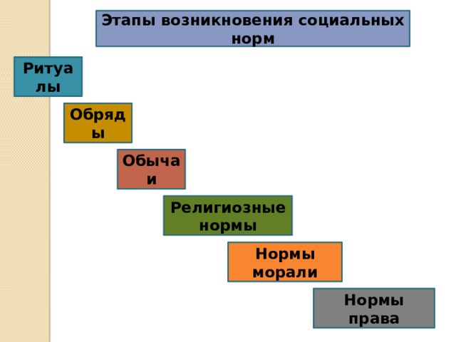 Стадии появления