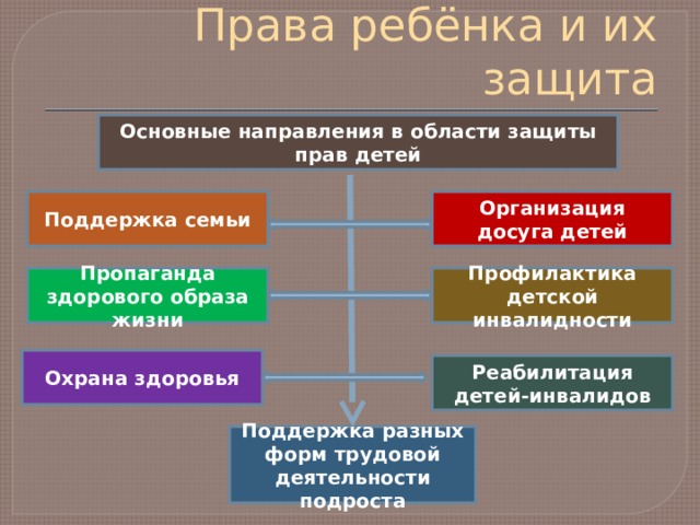 Правами в том числе правом