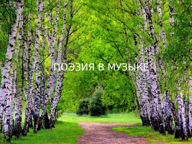 Поэзия в музыке 