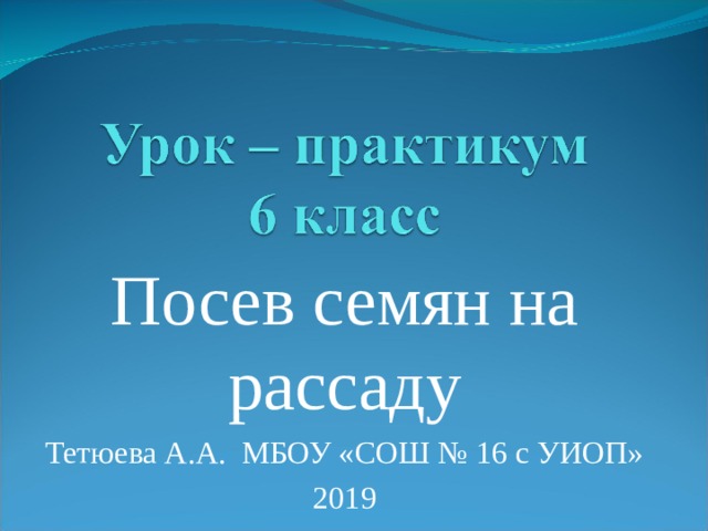 Посев семян на рассаду Тетюева А.А. МБОУ «СОШ № 16 с УИОП» 2019 
