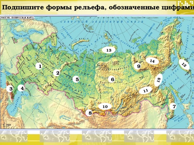 Какие формы рельефа преобладают в евразии. Карта России с равнинами и плоскогорьями и горами. Равнины Плоскогорья низменности на карте России. Равнины низменности горы и Плоскогорья России на карте. Крупные равнины на территории России.