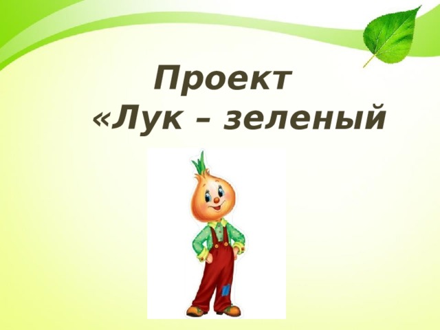 Проект лук наш друг