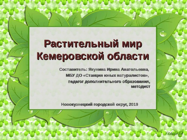 Растительный мир Кемеровской области Составитель: Якунина Ирина Анатольевна, МБУ ДО «Станция юных натуралистов», педагог дополнительного образования, методист Новокузнецкий городской округ, 2019 