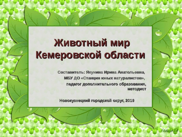  Животный мир Кемеровской области   Составитель: Якунина Ирина Анатольевна, МБУ ДО «Станция юных натуралистов», педагог дополнительного образования, методист  Новокузнецкий городской округ, 2019 