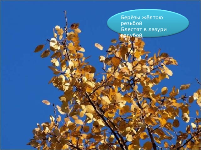 Блестят В Лазури