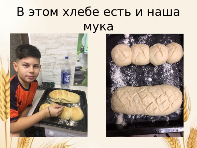 В этом хлебе есть и наша мука