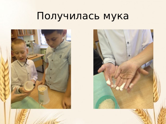 Получилась мука