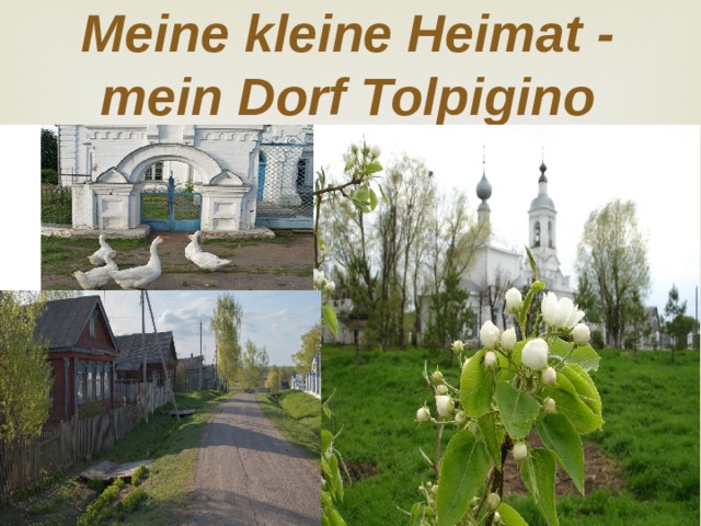 Meine kleine Heimat - mein Dorf Tolpigino 