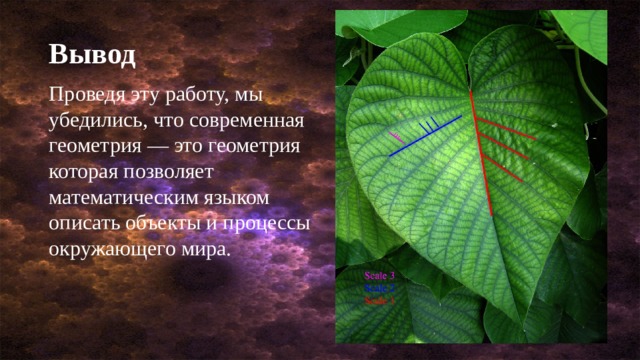 Вывод Проведя эту работу, мы убедились, что современная геометрия — это геометрия которая позволяет математическим языком описать объекты и процессы окружающего мира. 