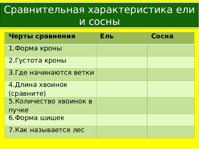 Сравнительная характеристика ели и сосны Черты сравнения Ель 1.Форма кроны Сосна 2.Густота кроны 3.Где начинаются ветки 4.Длина хвоинок (сравните) 5.Количество хвоинок в пучке 6.Форма шишек 7.Как называется лес 