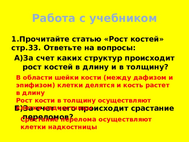 Работа с учебником 1.Прочитайте статью «Рост костей» стр.33. Ответьте на вопросы: А)За счет каких структур происходит рост костей в длину и в толщину?    Б)За счет чего происходит срастание переломов? В области шейки кости (между дафизом и эпифизом) клетки делятся и кость растет в длину Рост кости в толщину осуществляют клетки надкостницы Срастание перелома осуществляют клетки надкостницы 