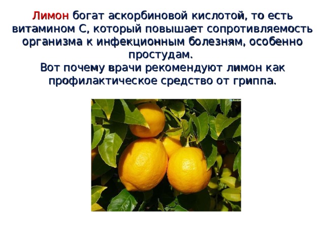  Лимон богат аскорбиновой кислотой, то есть витамином С, который повышает сопротивляемость организма к инфекционным болезням, особенно простудам.  Вот почему врачи рекомендуют лимон как профилактическое средство от гриппа.   