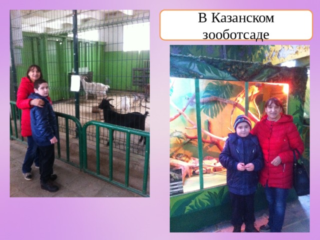В Казанском зооботсаде 