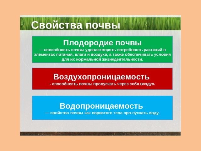 Практическая работа по географии 8 класс почвы