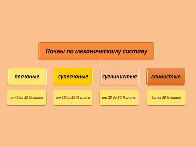 Таблица почв 8 класс