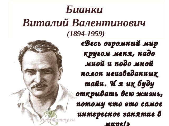 В бианки что увидел жаворонок когда вернулся на родину 2 класс 21 век презентация