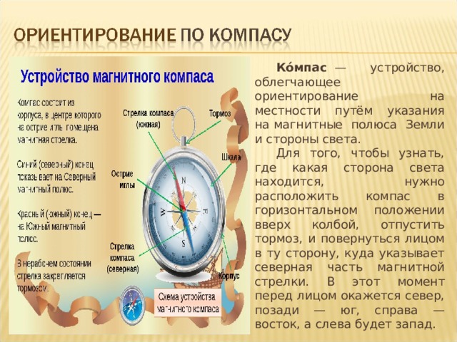 Магнитные стрелки сориентировались как показано на рисунке где находится север