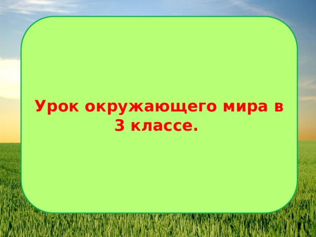 Стороны горизонта презентация 3 класс презентация