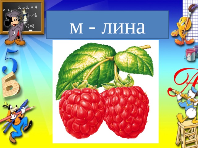 м - лина 