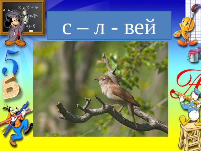 с – л - вей 