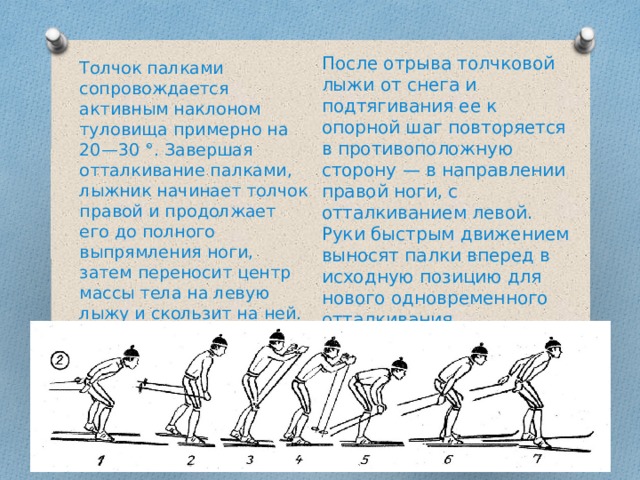 После отрыва толчковой лыжи от снега и подтягивания ее к опорной шаг повторяется в противоположную сторону — в направлении правой ноги, с отталкиванием левой. Руки быстрым движением выносят палки вперед в исходную позицию для нового одновременного отталкивания. Толчок палками сопровождается активным наклоном туловища примерно на 20—30 °. Завершая отталкивание палками, лыжник начинает толчок правой и продолжает его до полного выпрямления ноги, затем переносит центр массы тела на левую лыжу и скользит на ней. 