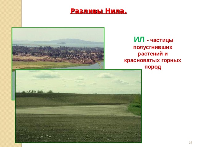 Частицы полусгнивших растений и горных пород. Ил частицы полусгнивших растений и красноватых горных. Ил частицы полусгнивших растений. Частицы полусгнивших растений и остатки горных пород.