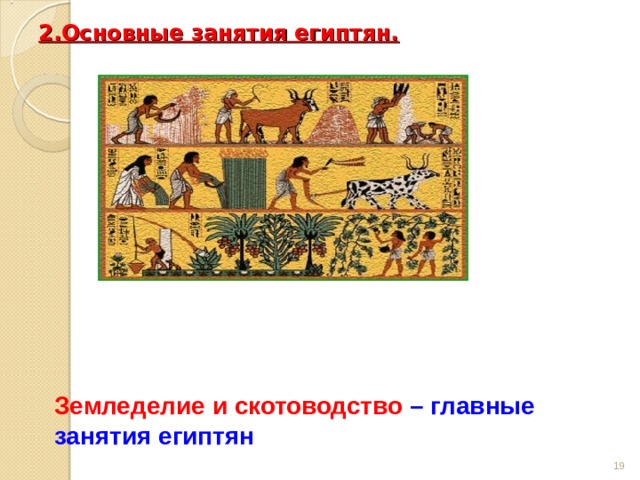 2.Основные занятия египтян.   Земледелие и скотоводство  – главные занятия египтян   