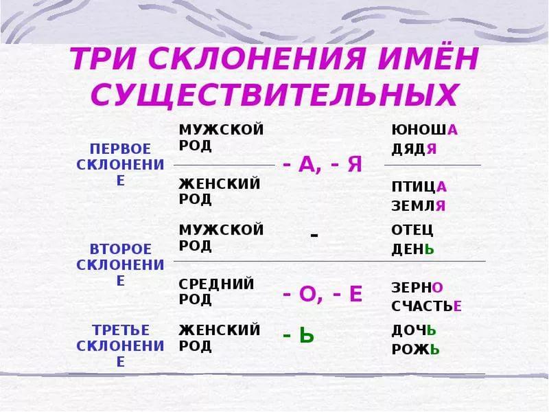 Картинки склонения имен существительных таблица