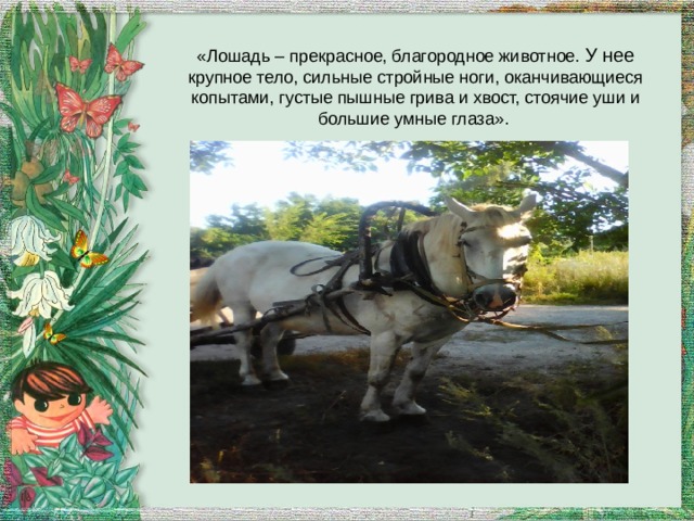 «Лошадь – прекрасное, благородное животное. У нее крупное тело, сильные стройные ноги, оканчивающиеся копытами, густые пышные грива и хвост, стоячие уши и большие умные глаза». 