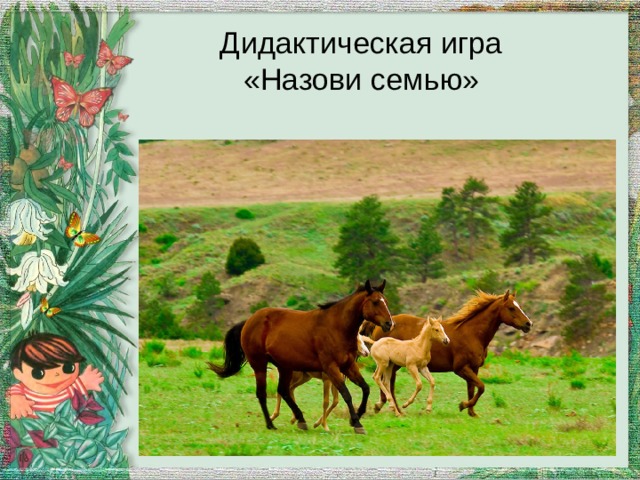 Дидактическая игра  «Назови семью» 